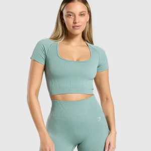 Corset Seamless Crop Top