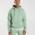Desert Sage Green