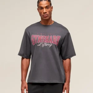 Lifting Essentials T-Shirt