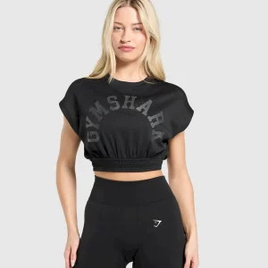 Mesh Graphic Crop Top